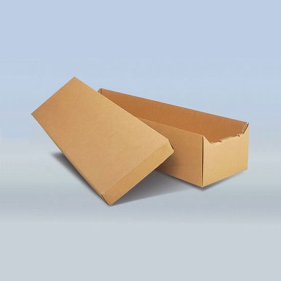 cardboard cremation container for central florida funerals