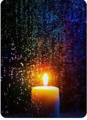 Robin Anne Nyland (November 06, 1962 - February 03, 2022)