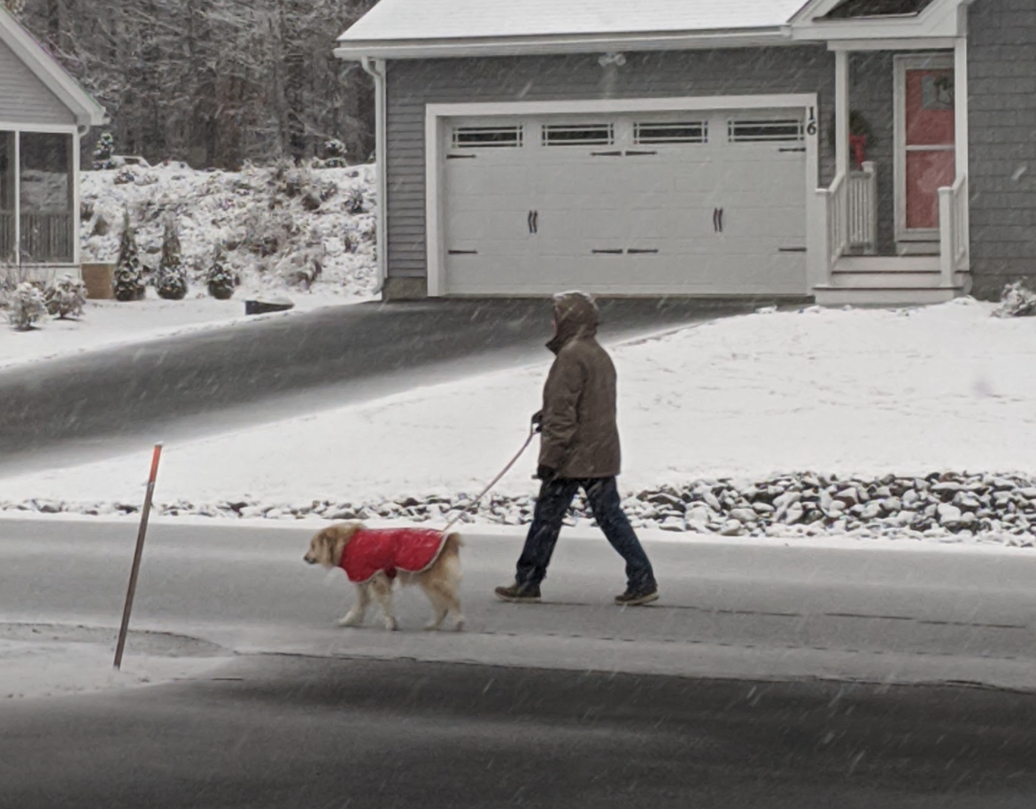 How many times did we see Gail walking her beloved Scout……