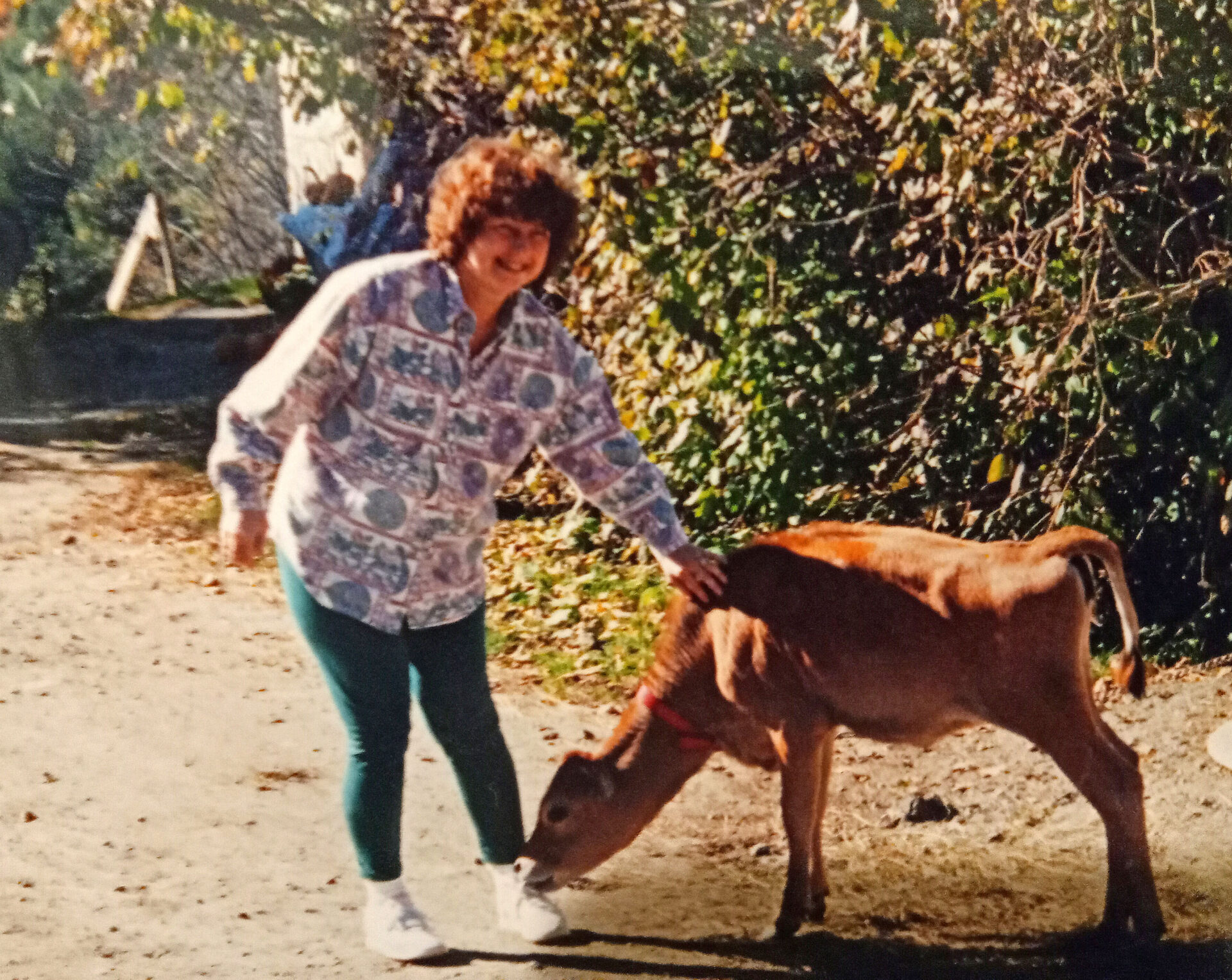 Pats favorite place Sugarbush Farms in Vermont 1994.  After playing with the calf, she swore off red meat forever