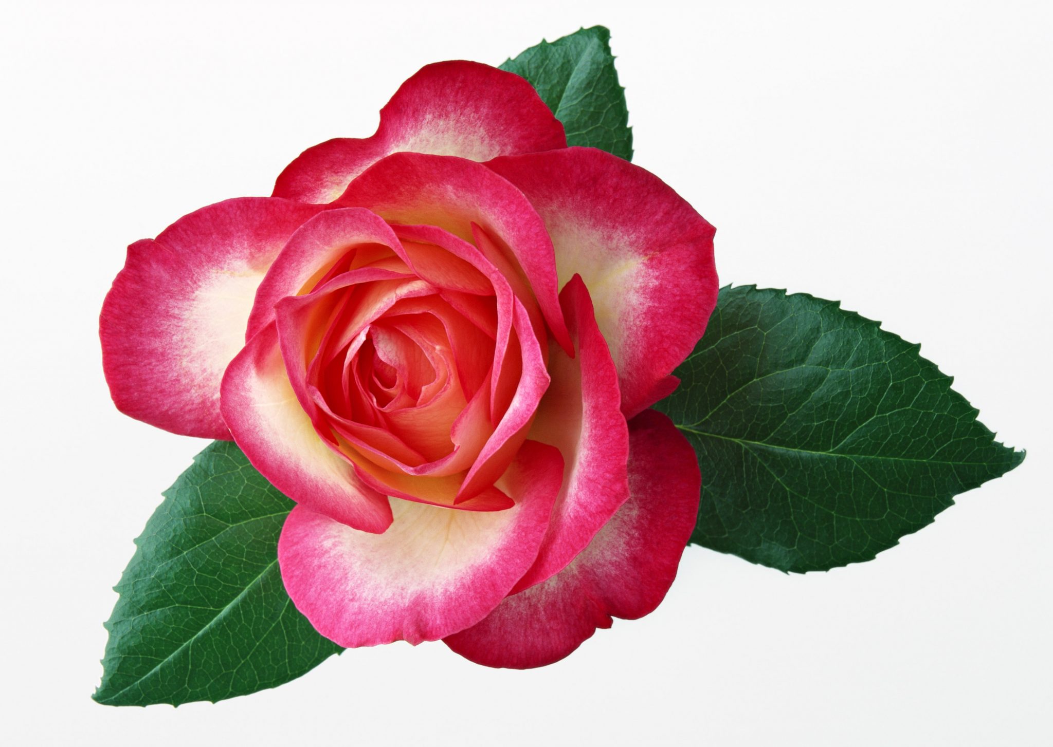 test 2 i4tech