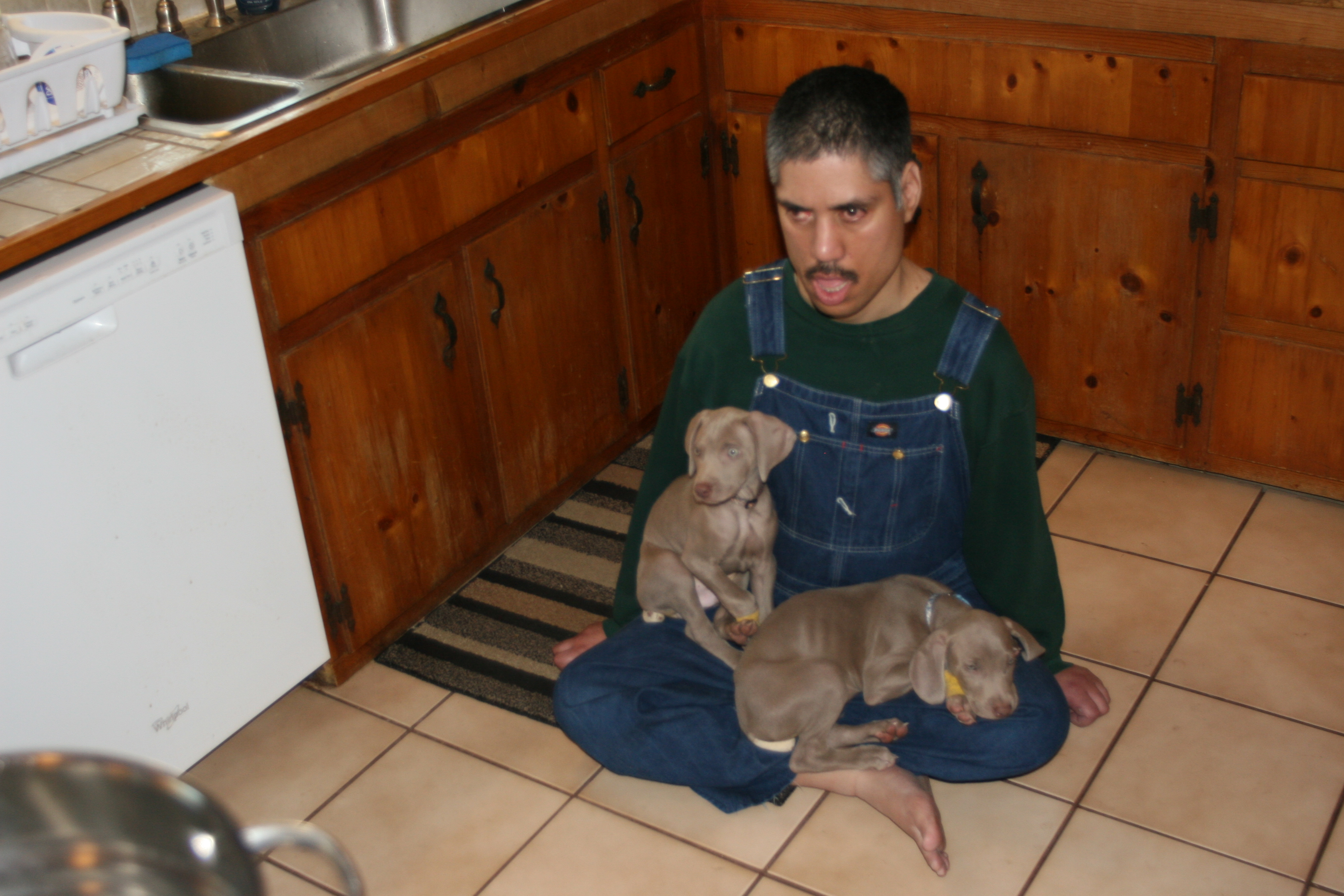 This was the first time, Patrick met the puppies. They stayed with Pat for over 45 minutes.  Pat "Look what Mom got Me!"