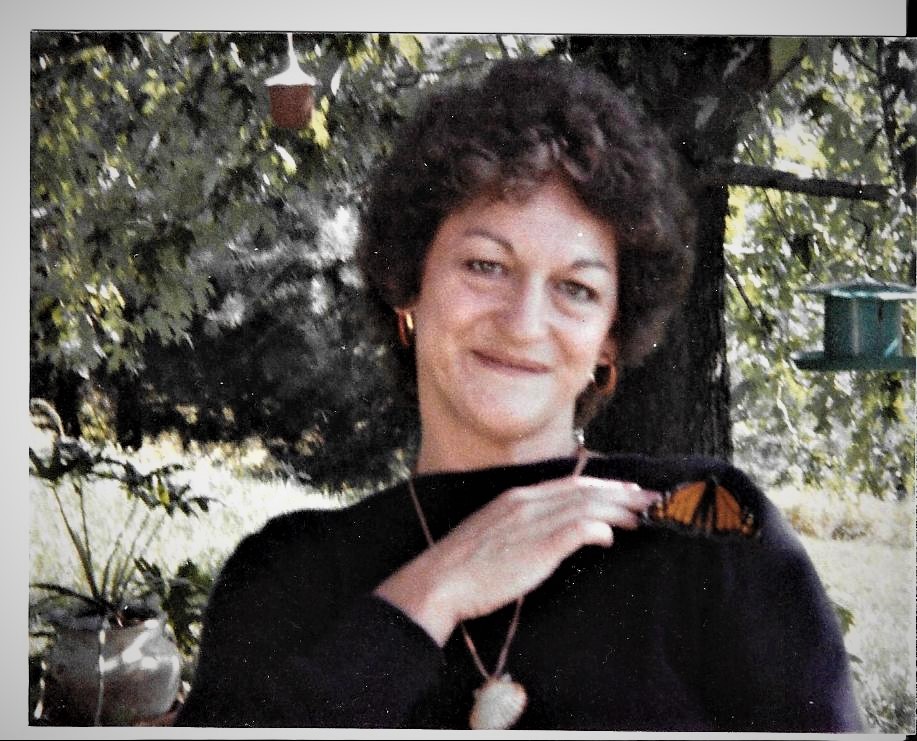 Dorothy raised monarch butterflies for a period in the 80's. Loved this pic.