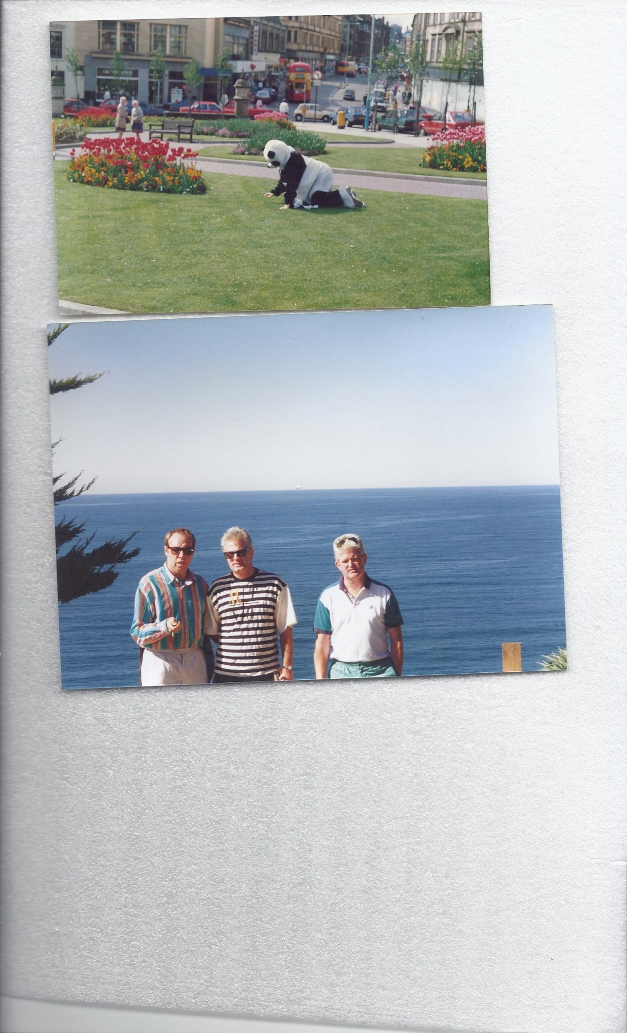 Davy was my best pal and when he left Scotland in November 1987 I was gutted. He went on to pastures new and found success which I was not surprised. These photos are Davy / Pat O'Hare & Me in LA November 1994. The Panda is Davy,  County Square in Paisley on the morning of May 16th 1987. This was one of the Best Days of our lives and when we meet we still reminisce of the Day the Saints won the Cup and we were the Panda's. Sorry that you have gone so young but you will always be in my thoughts and were Proud to be a BUDDIE. [ Correct spelling for a Paisley Buddie ] Gone but not forgotten.