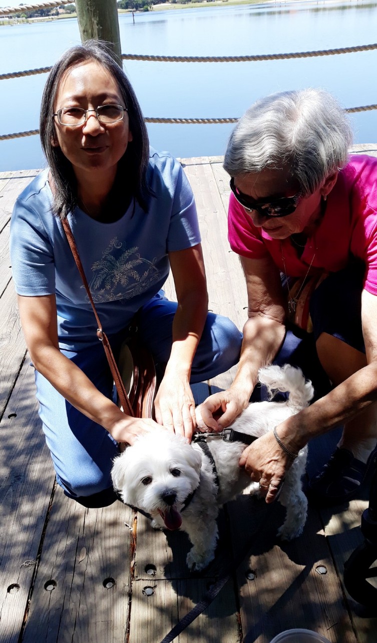Cutest Maltese ever