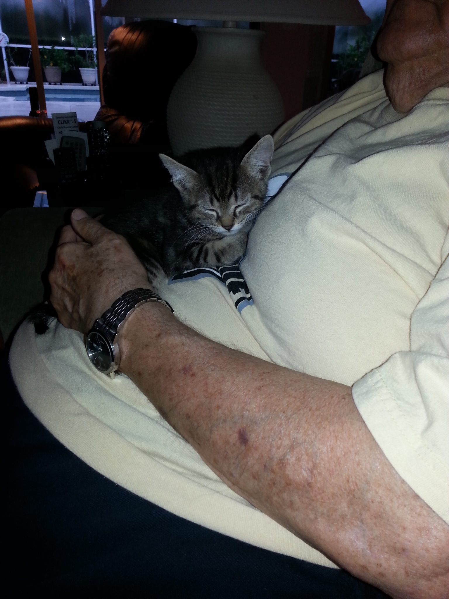 Dad with our "baby" Maggie 2016. Dad loved this little girl, as he did all his furry grandbabies.