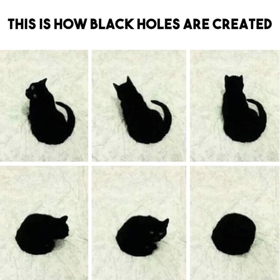 For your love of black cats ‍⬛ xo 