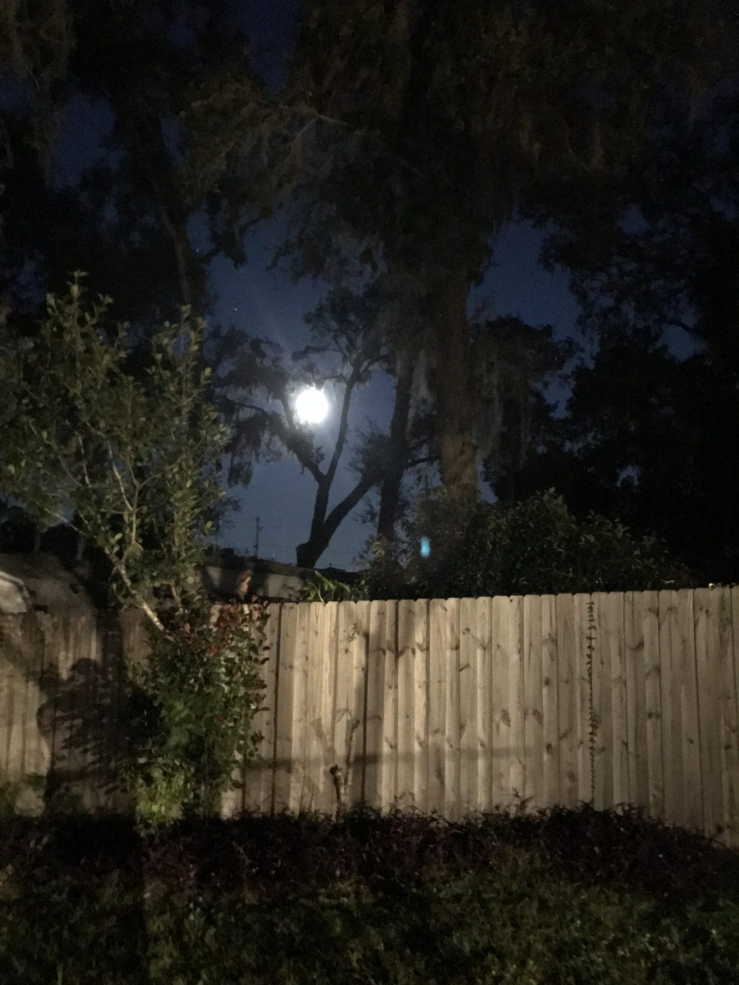 Here’s a beautiful picture I found on Victor’s phone.  He loved the energy of the full moon.  Many nights we would go dance in the moonlight. One fun night after a séance we came out of the house with a bunch of sitters and there was such a huge full moon that we all spontaneously started howling. A lady driving by our house stopped in the middle of the road and asked what we were doing.  I told her we were howling at the full moon, it releases anger and aggression.  She parked her car and joined us. It’s great when people get it.  Victor wasn’t the howling type,  he was more the basking in the moonlight type, but I just can’t forget his smile, standing in the doorway watching all of us. 