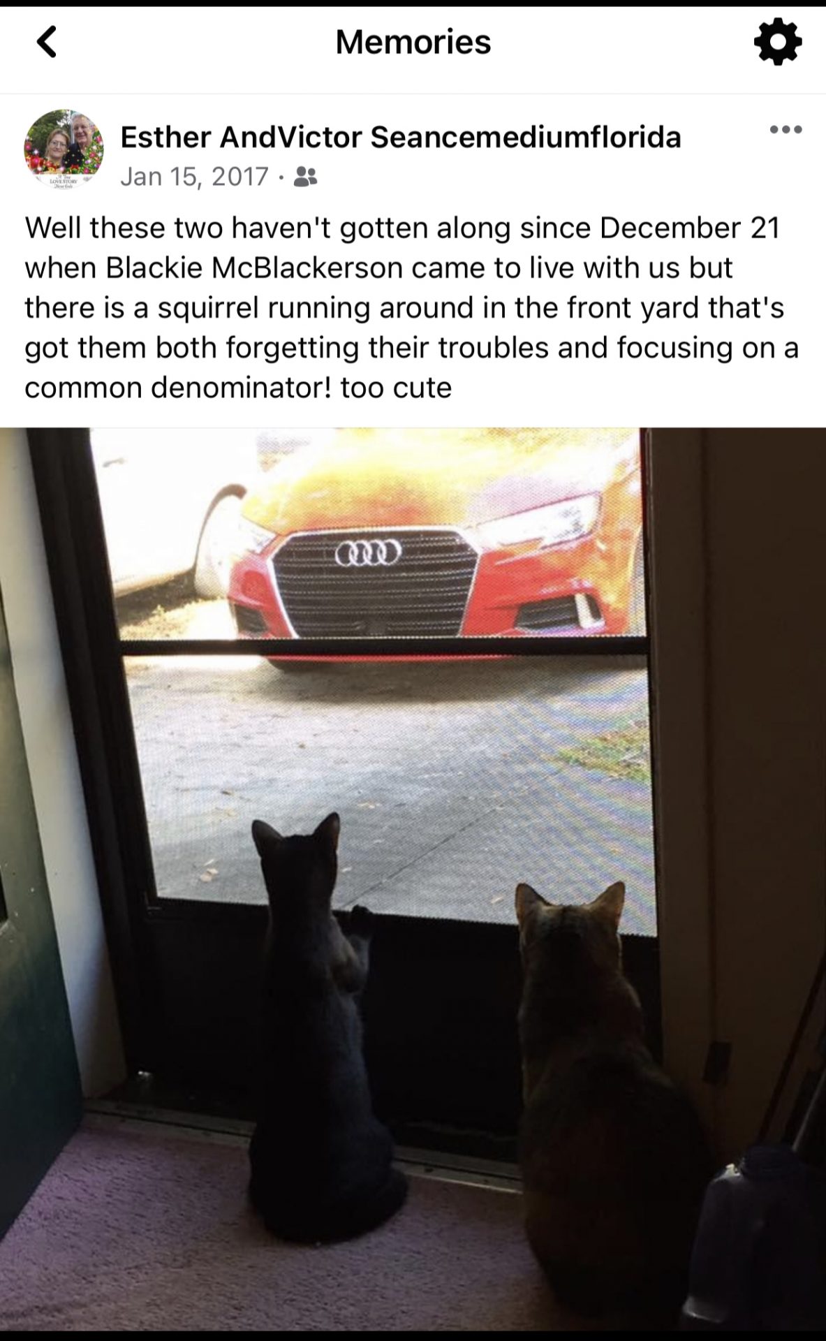 Here’s another cute picture, wonderful memory from Victor’s phone. ♥️