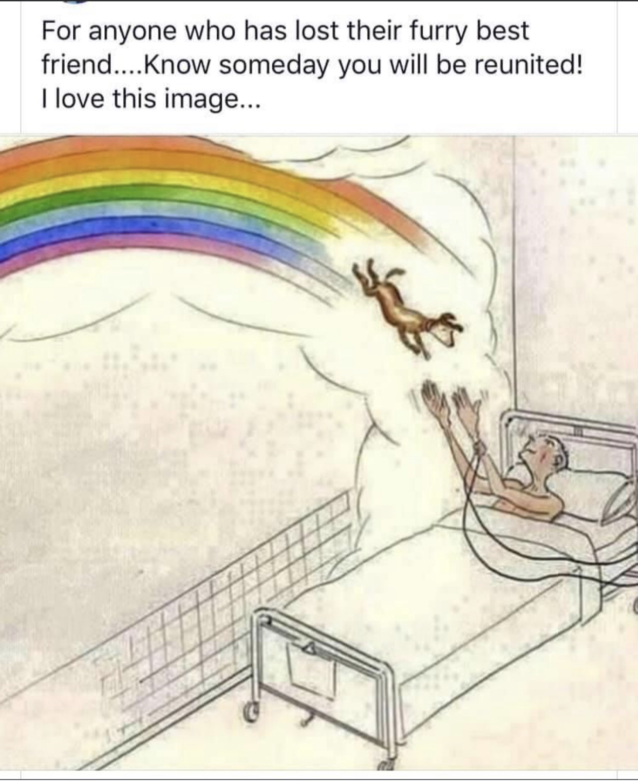 Another beautiful picture from Victor‘s iPhone.  I’m sure there was a parade on the rainbow bridge when he crossed over of all the animals he loved so much through the years.  In fact several came through in the séance room over the years.  Victor is the most unique soul I have ever met. ♥️