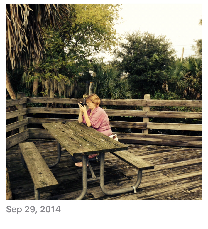 Another wonderful memory.  Victor told me so many stories about the St. Johns River bridge & his dad when he was a kid.  He finally brought me down there to show me the magic. ♥️<br />
I’m looking at the photo on my phone that I took of a snake standing up out of the water!  we were watching it as a man and his kids rowed their boat past him.  the snake was so bold it just stood there and watched  them.  it wouldn’t even move out of their way!  wow 