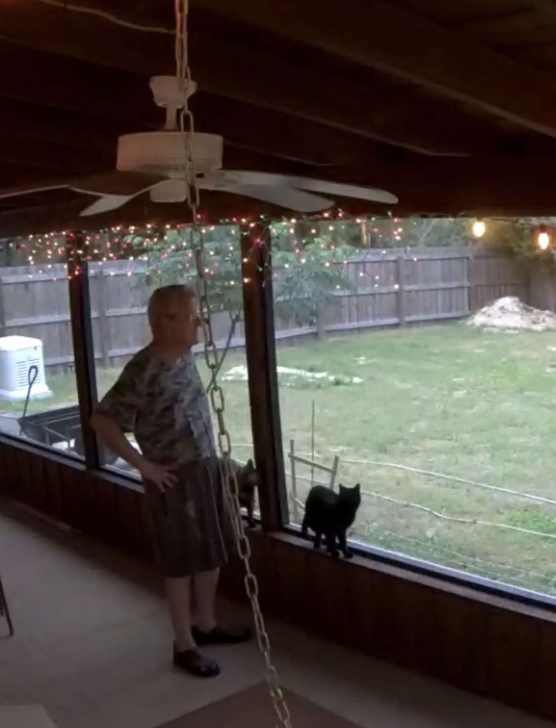 The man and his kitty cats surveying his kingdom. He loved this house so much!  He was content ❤️