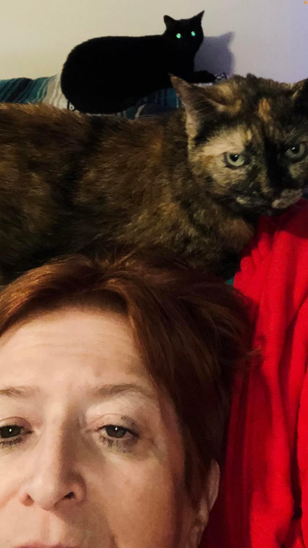 Merry Christmas 2021  from the Vogenitz family.  ✝️