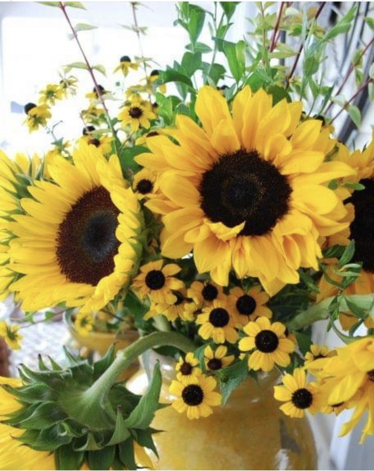 It’s sunflower season my love. I always brag on your sunflowers. taller than the house and bigger than your head. you are amazing. ♥️