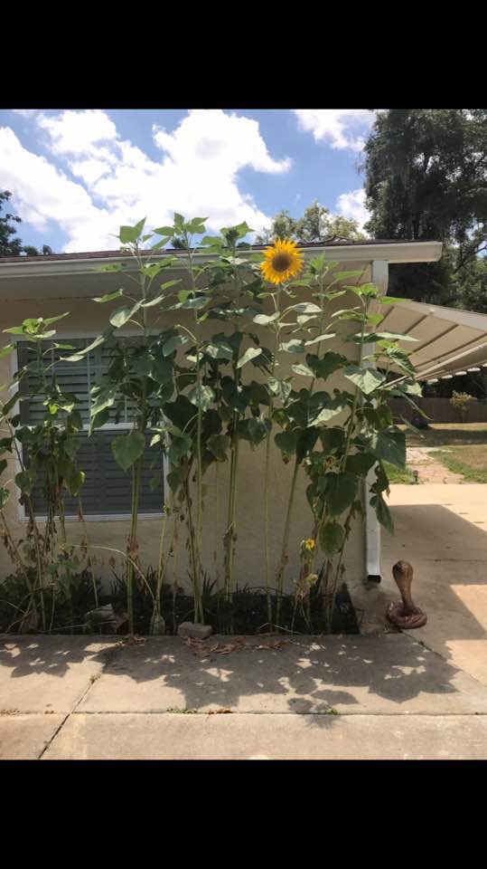 Four year anniversary of our beautiful home.  every inch of this place. every kitty cat in this place. and every woman in this place, misses every inch of you. ♥️