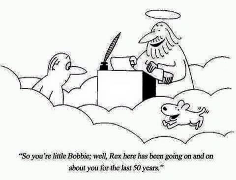 You always tell me about your pets, waiting on the rainbow bridge for you. I’m sure you had a bunch of them sweet man.