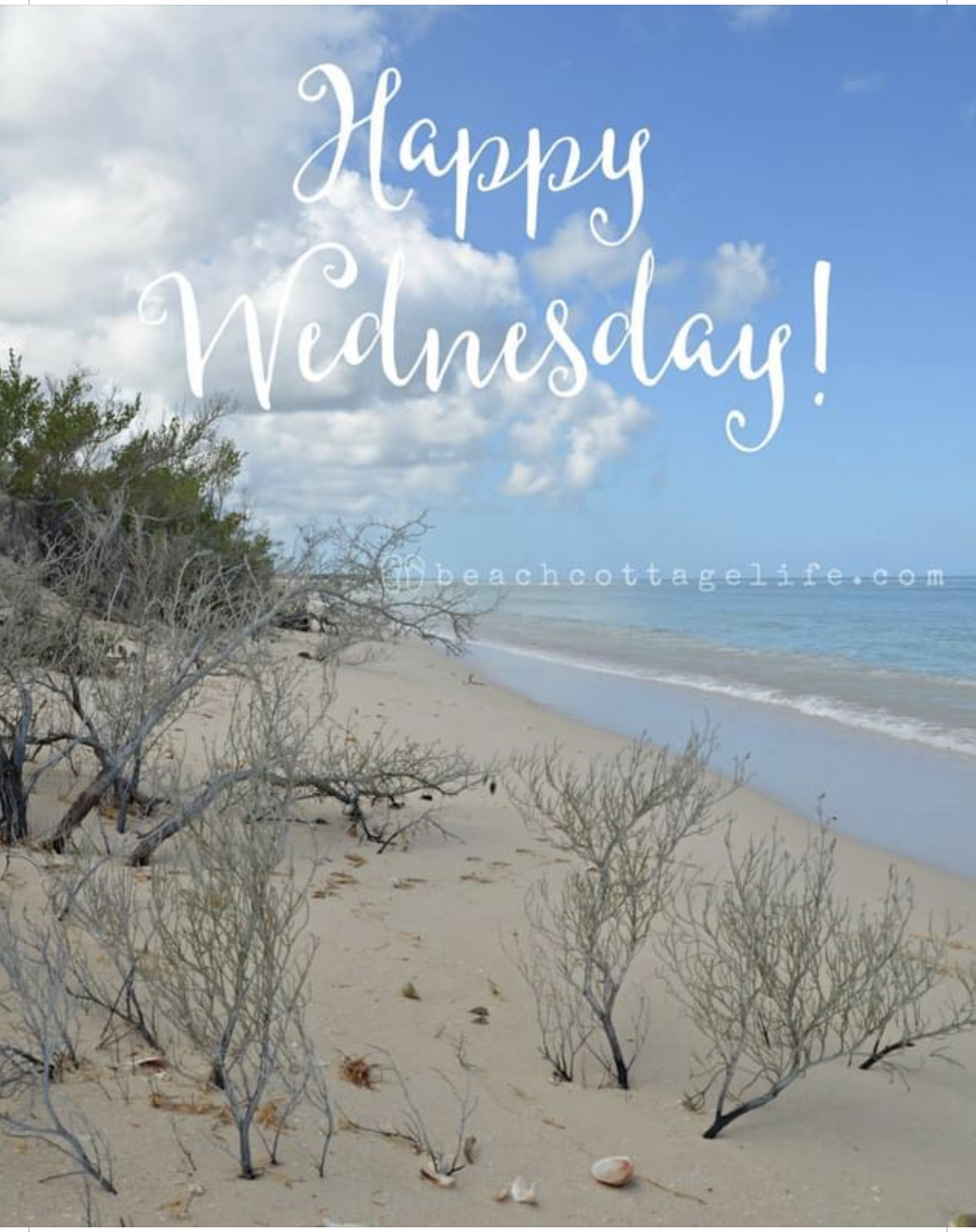 It’s a beautiful day in the neighborhood. ♥️ ENV4EVA <br />
Cinco de Mayo  I know where we would be today if you were here with me handsome man.