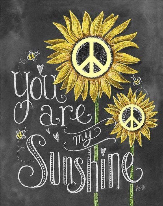 Yes You are! I can’t see a sunflower without thinking of you, sweet man ♥️