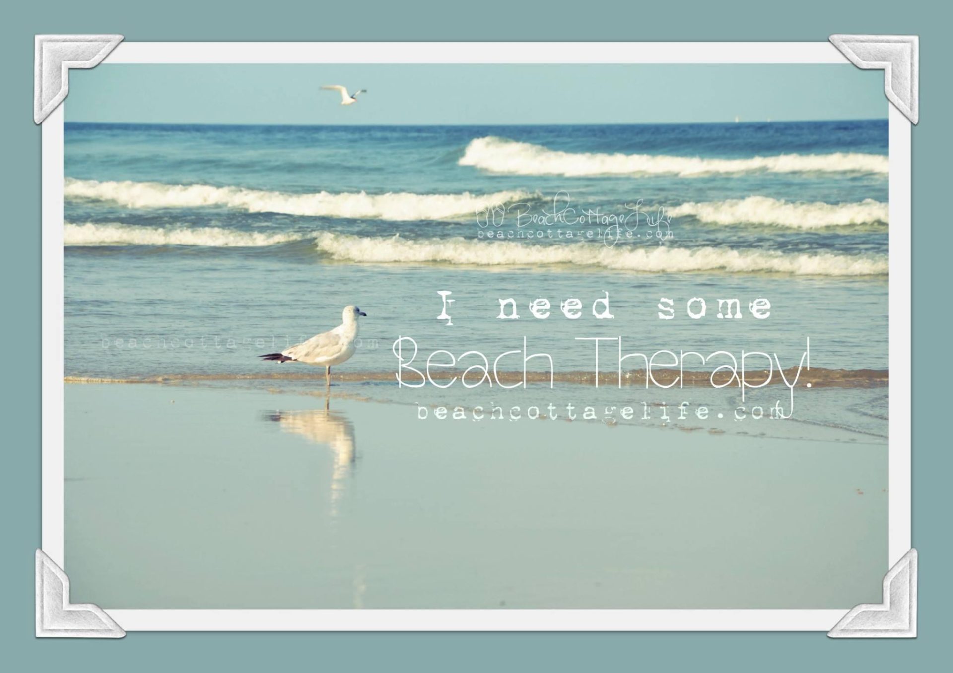 Yes‼️ Let’s Go my love ♥️