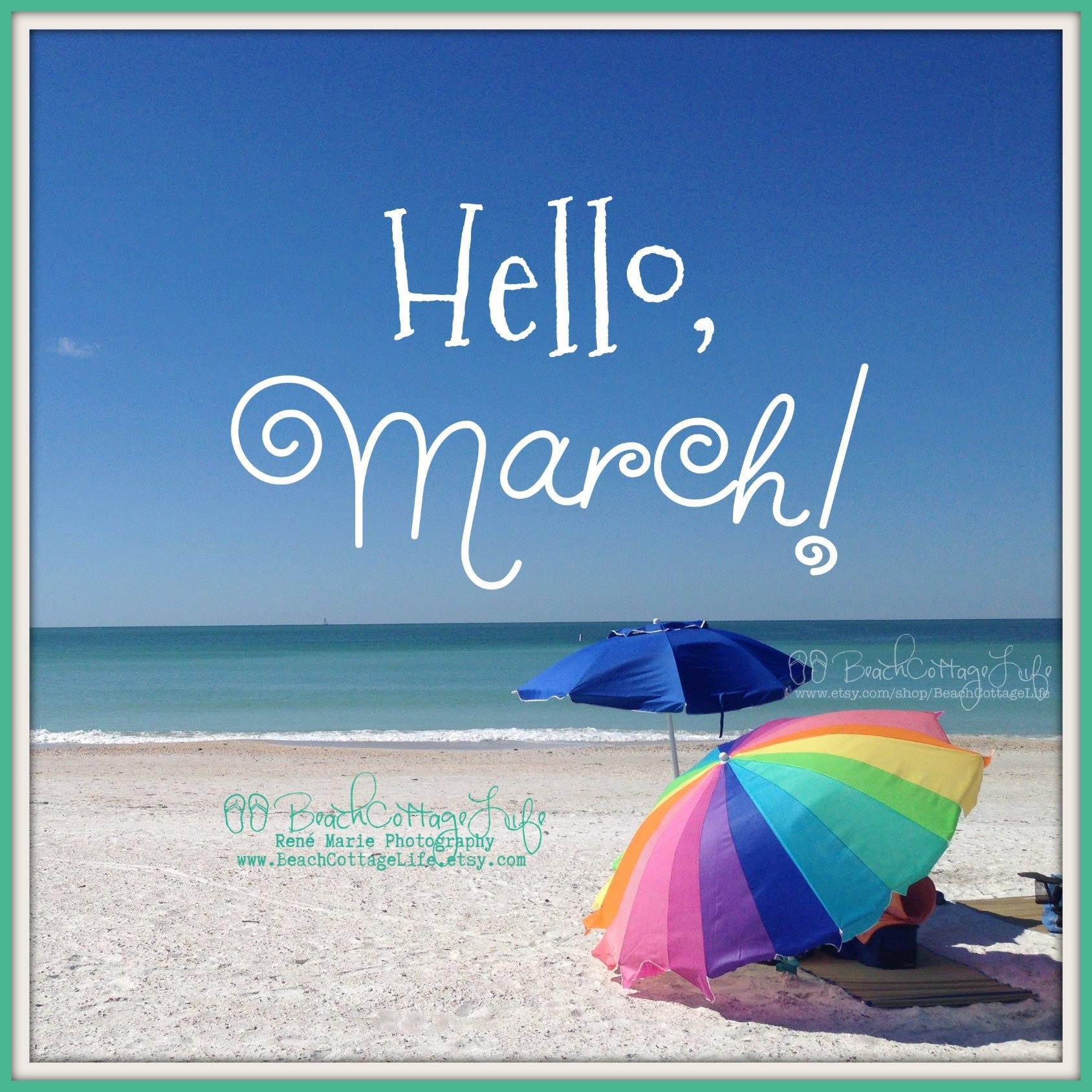 White Rabbit <br />
White Rabbit <br />
White Rabbit 