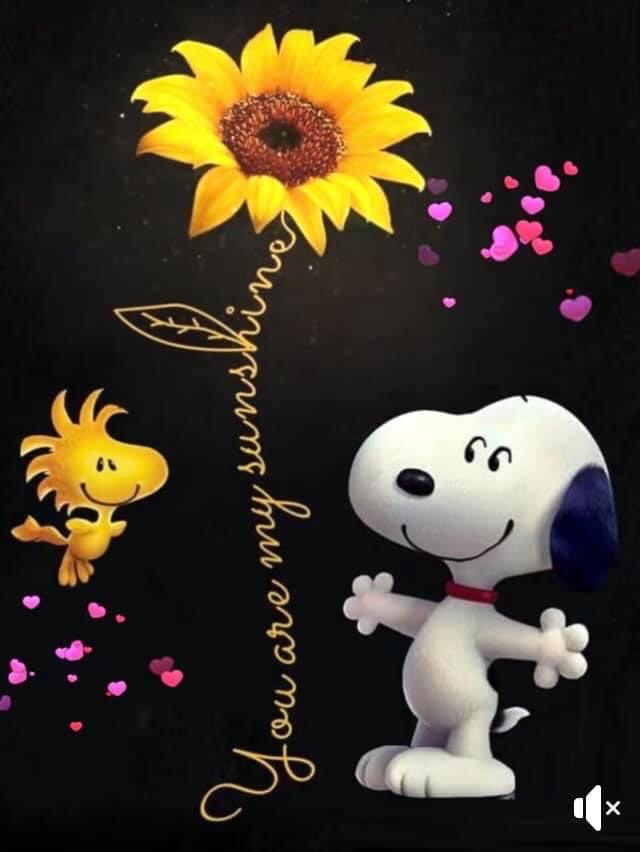 You are always my sunshine ♥️