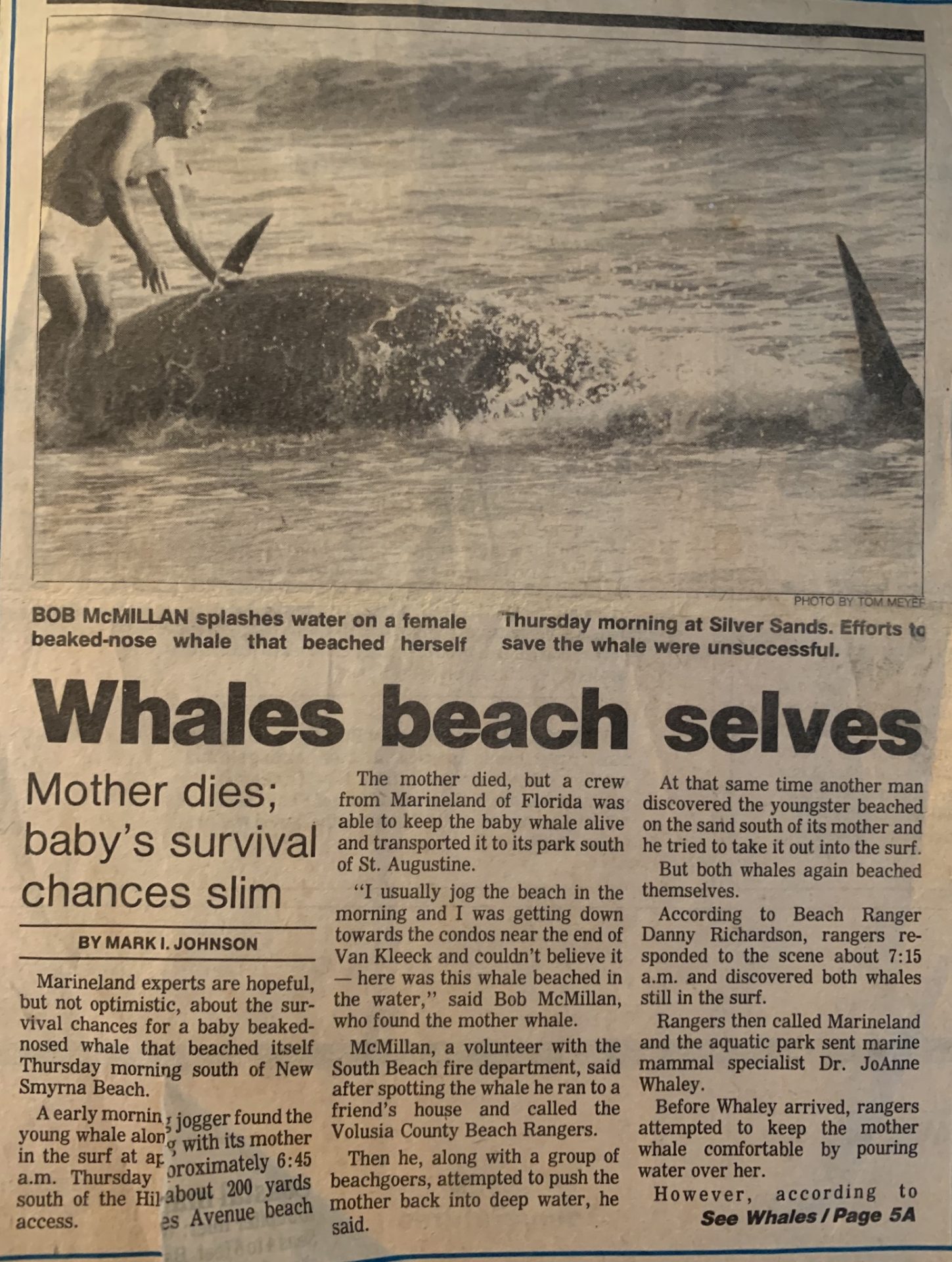 Bob saved a whale