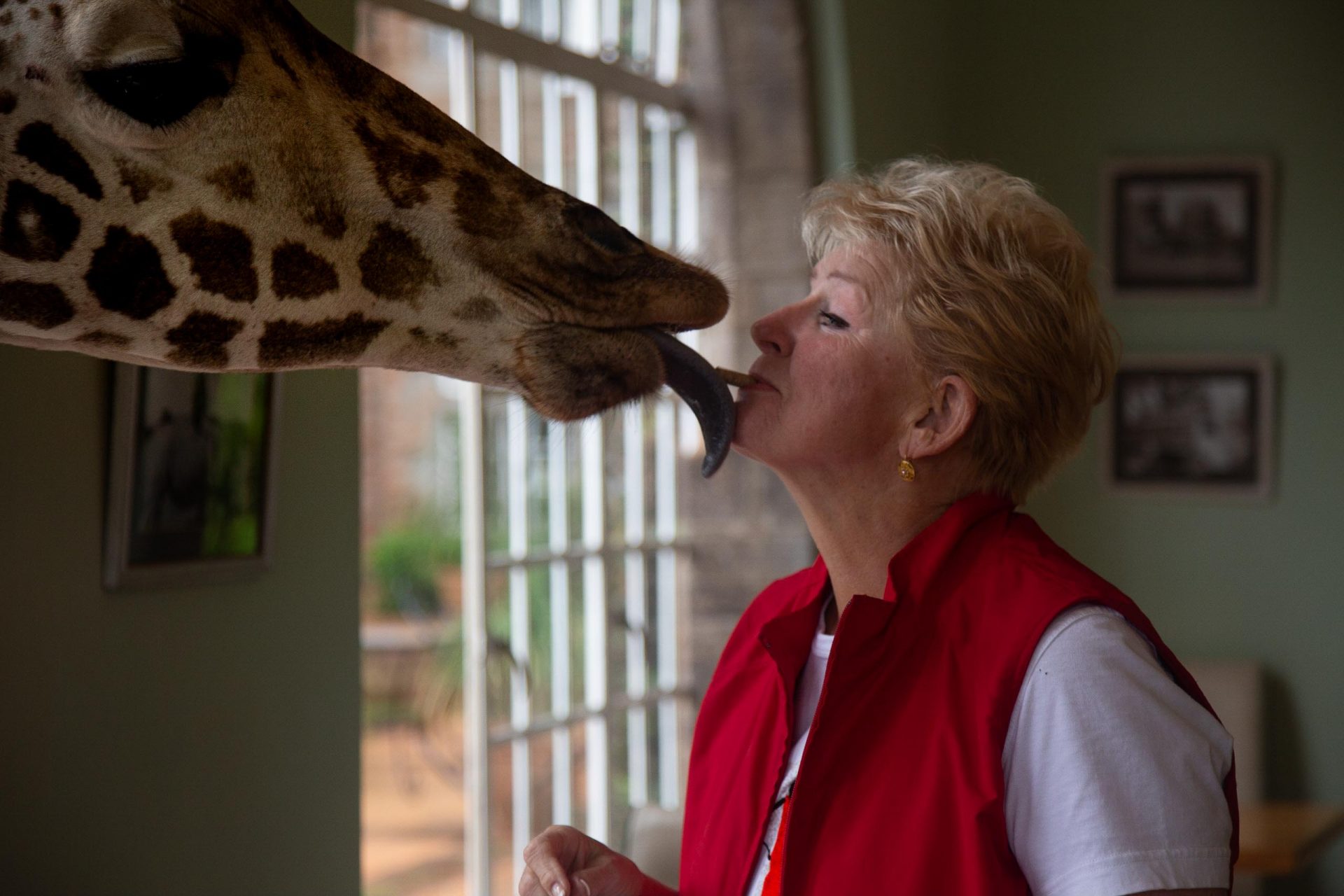 Sandi's favorite hotel, Giraffe Manor in Nairobi, Kenya.  She wanted to go back very badly.
