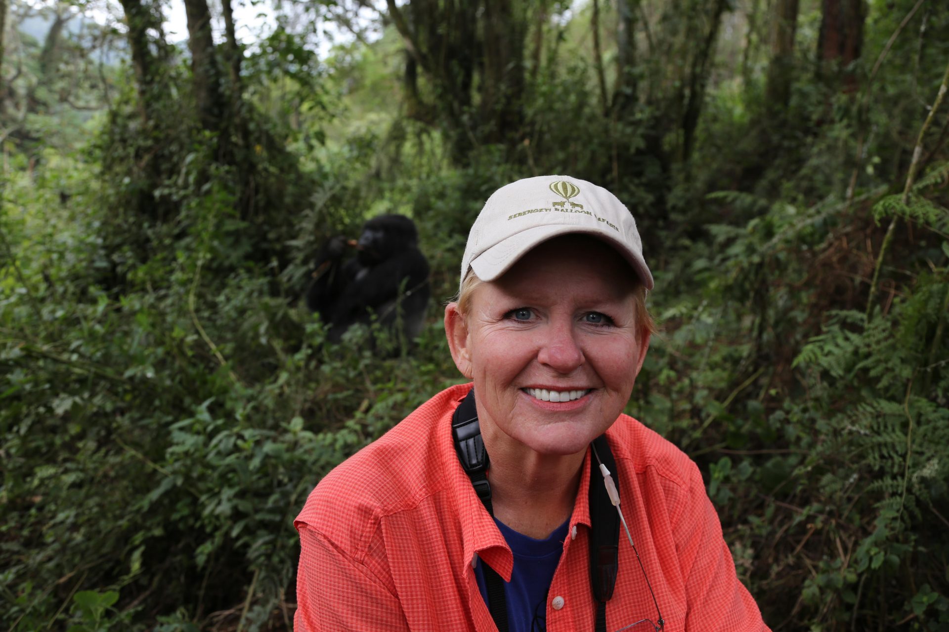 Following Silverback Gorillas in Rwanda.  We had to hike for several hours up the mountain, an hour with the gorillas and then trek down.