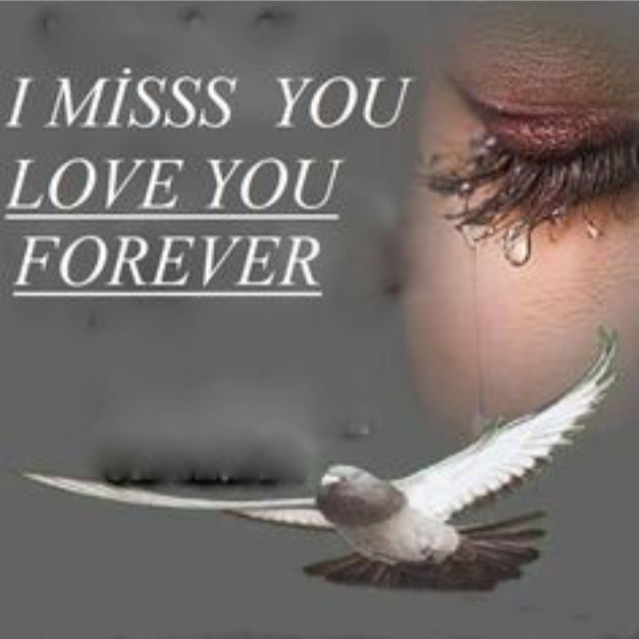 Anthony,<br />
<br />
I WILL ALWAYS MISS YOU IN MY LIFE FOREVER!!!<br />
<br />
I LOVE YOU!!!