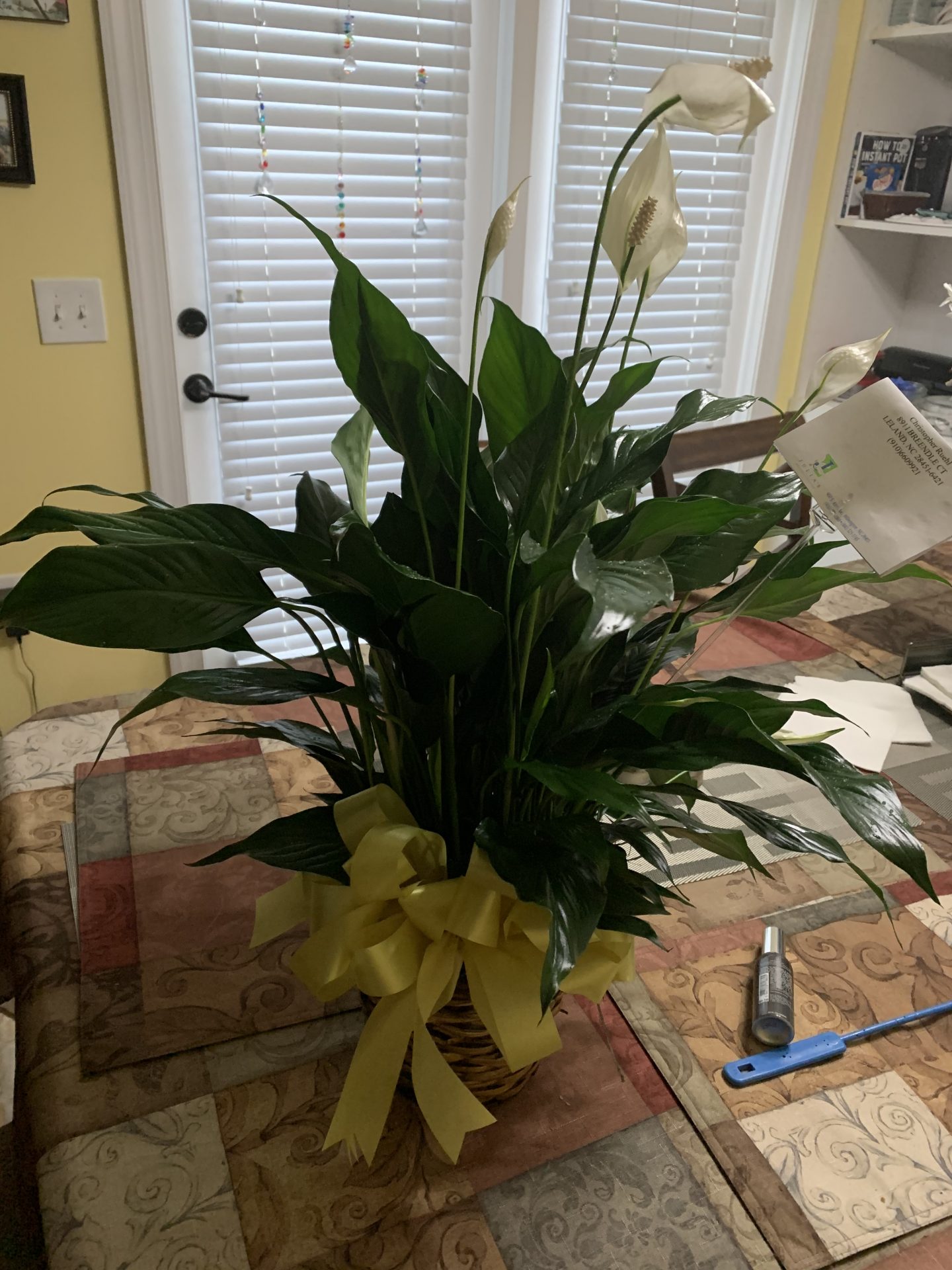 A peace Lilly that was sent us