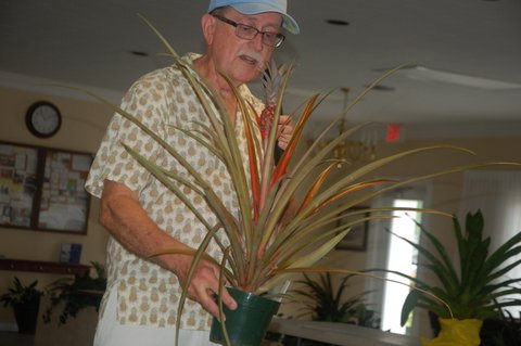 Jay presenting an ananas pineapple plant during show and tell at the FECBS club meeting
