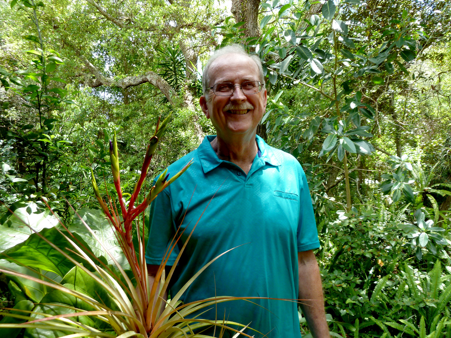 Jay would certainly be able to tell you what plant this is!