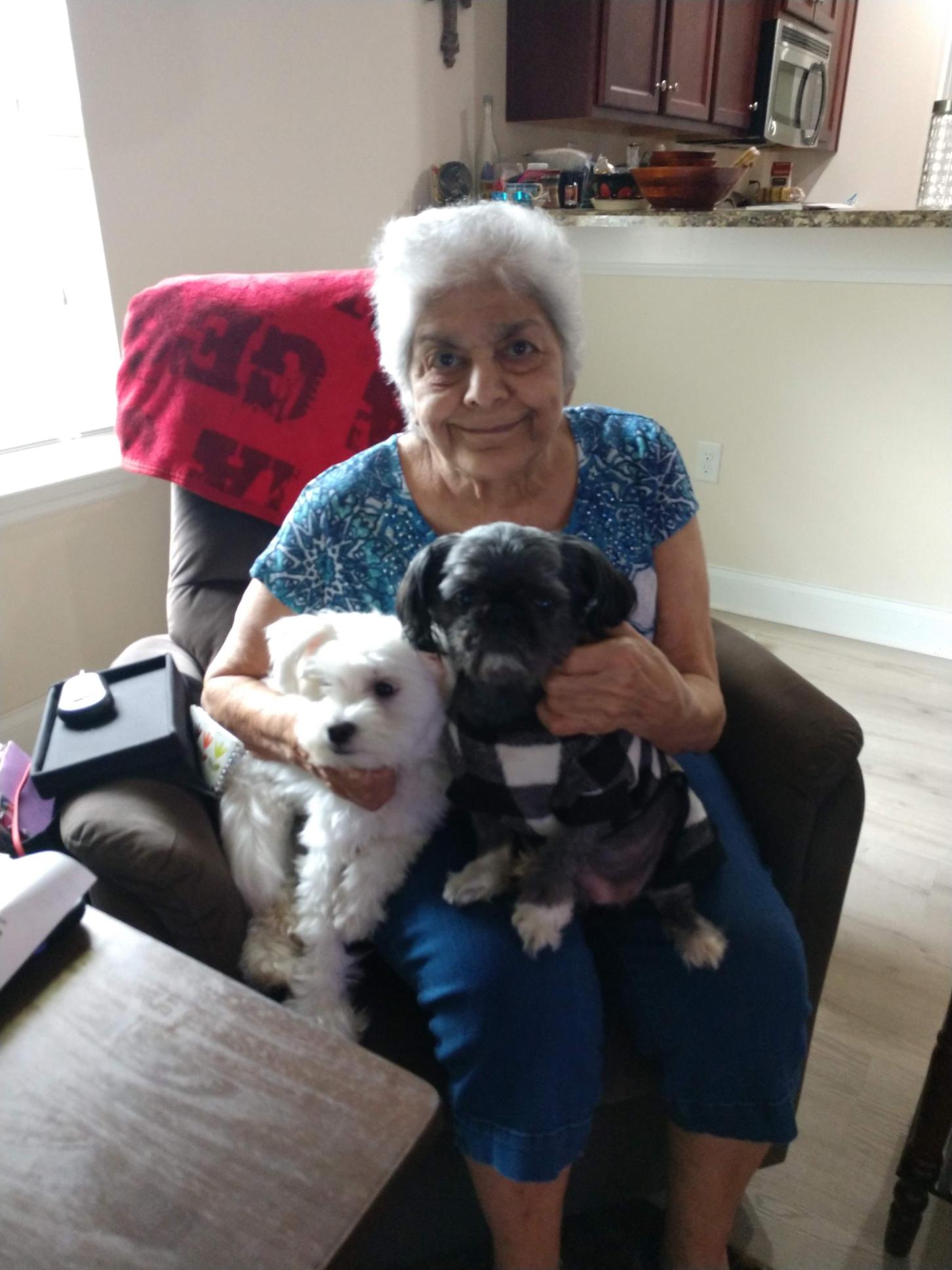 Pat with her grand pups Bucky and Lulu
