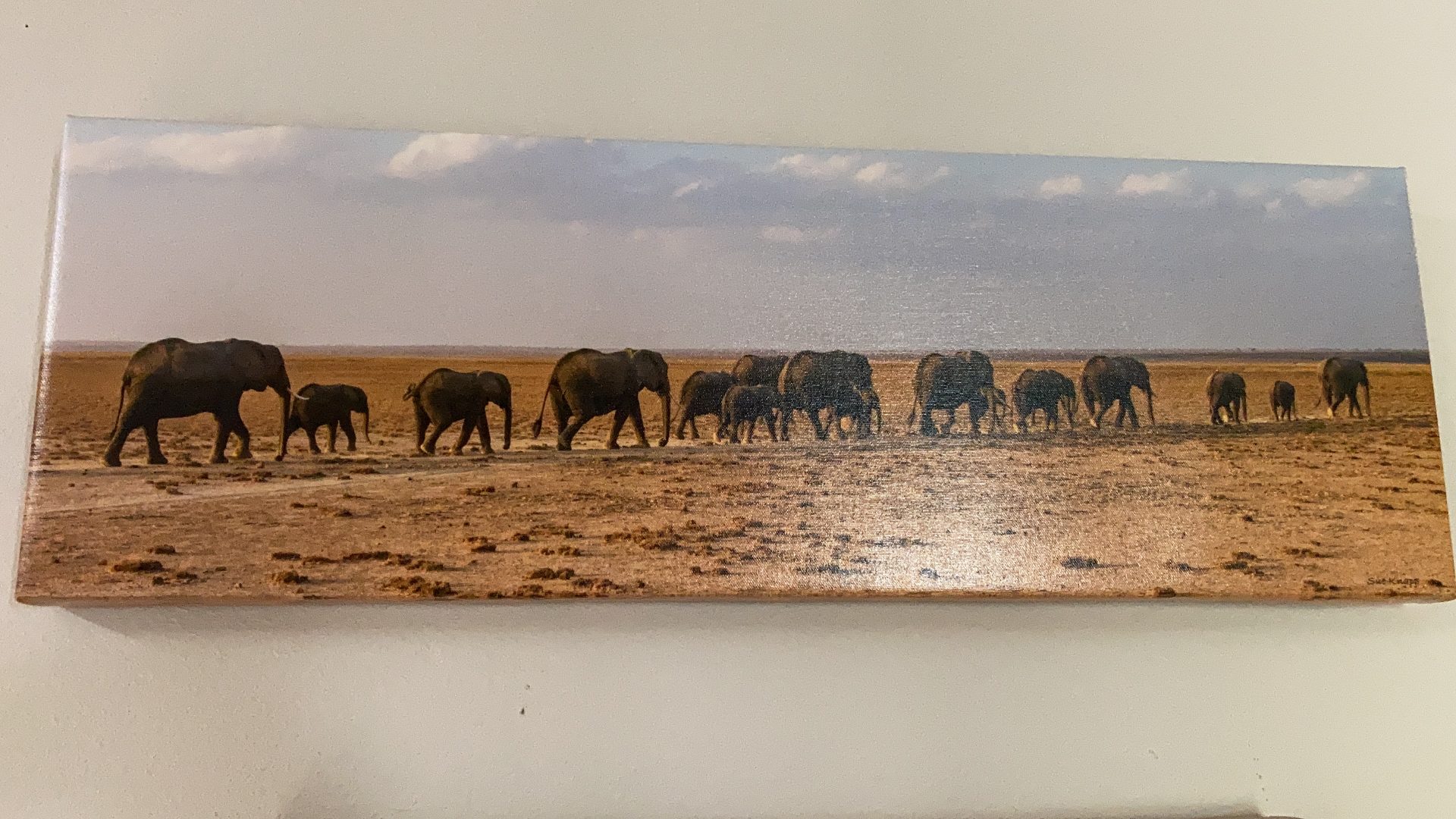 I shared a love of nature with Sue especially Kenya.  I have two of her photos in my entry and this is one of my favorites.