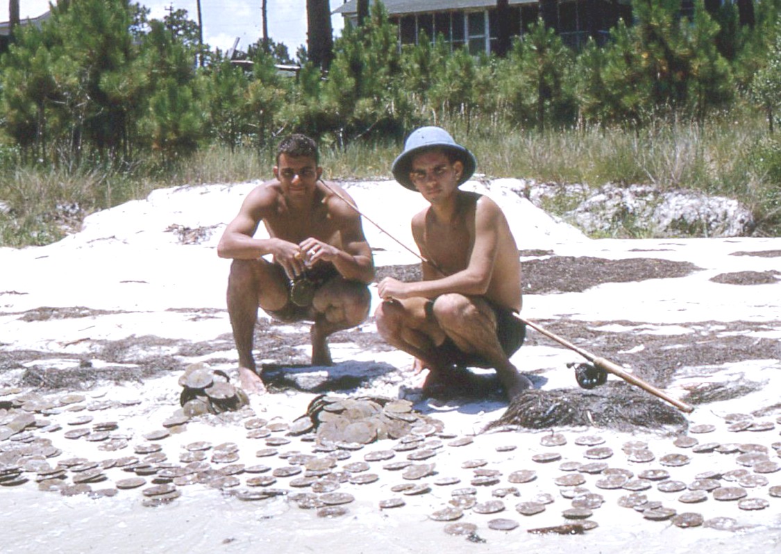 Another view of the "Great haul of Gulf (sand) Dollars" following the joyous years at Winter Park High School. Andy had such a playful spirit that he insisted the tip of fishing rod be lodged in his ear as a surprise secret in this shot.