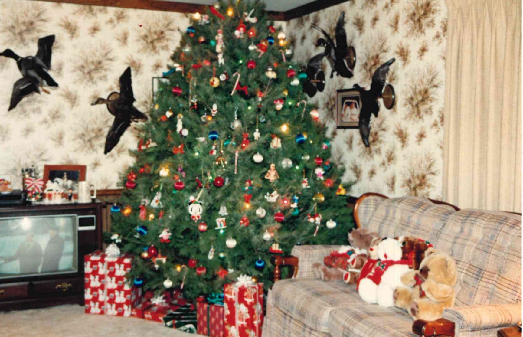 George and Elaine's beautiful Christmas tree