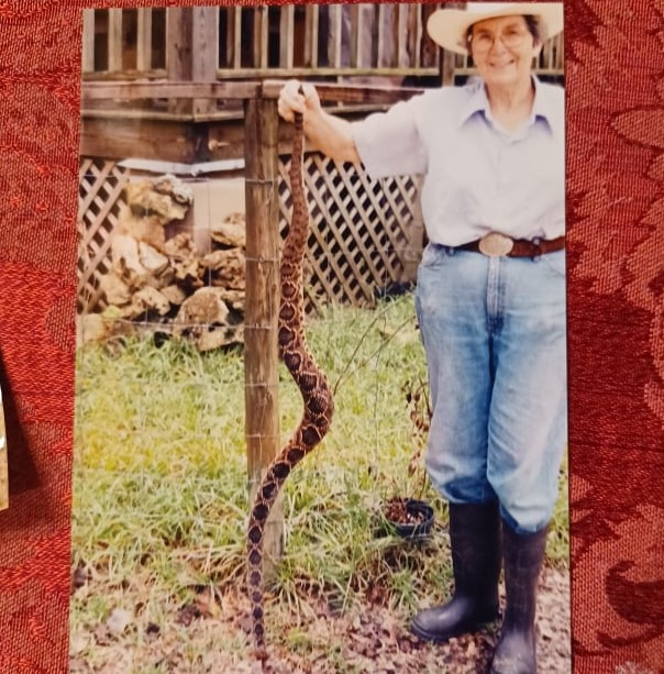 Mart and Snake