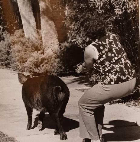 Mart and Pete