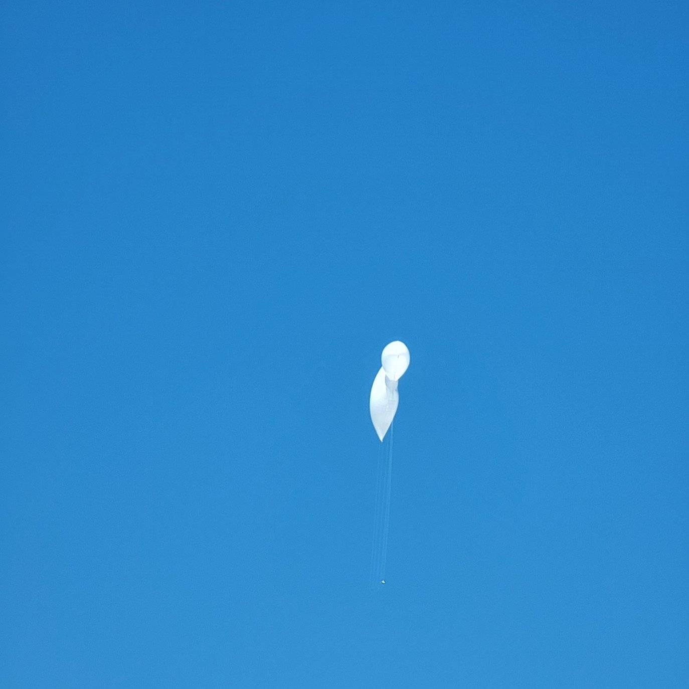Dove Balloon Release