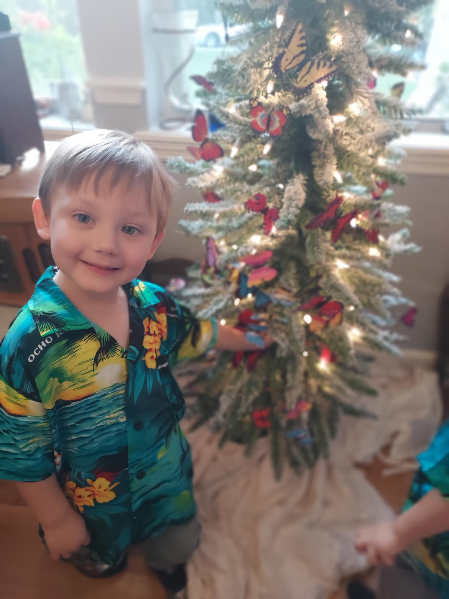 Your son, nieces and nephew decorated a butterfly tree for you. We all miss and love you my girl.