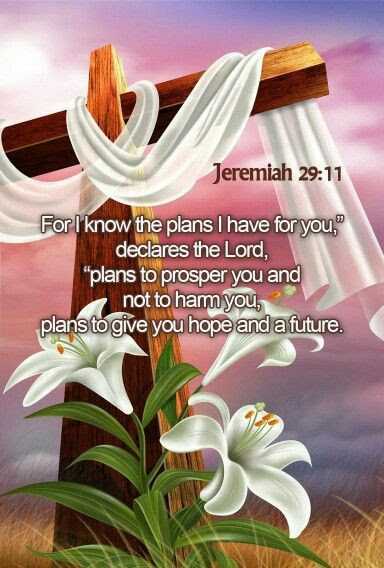 Bench placed in honor of with his nane-<br />
David J Wurster<br />
1945/2022<br />
Dave's favorite place , sitting by Lake Dora, Mt Dora Florida