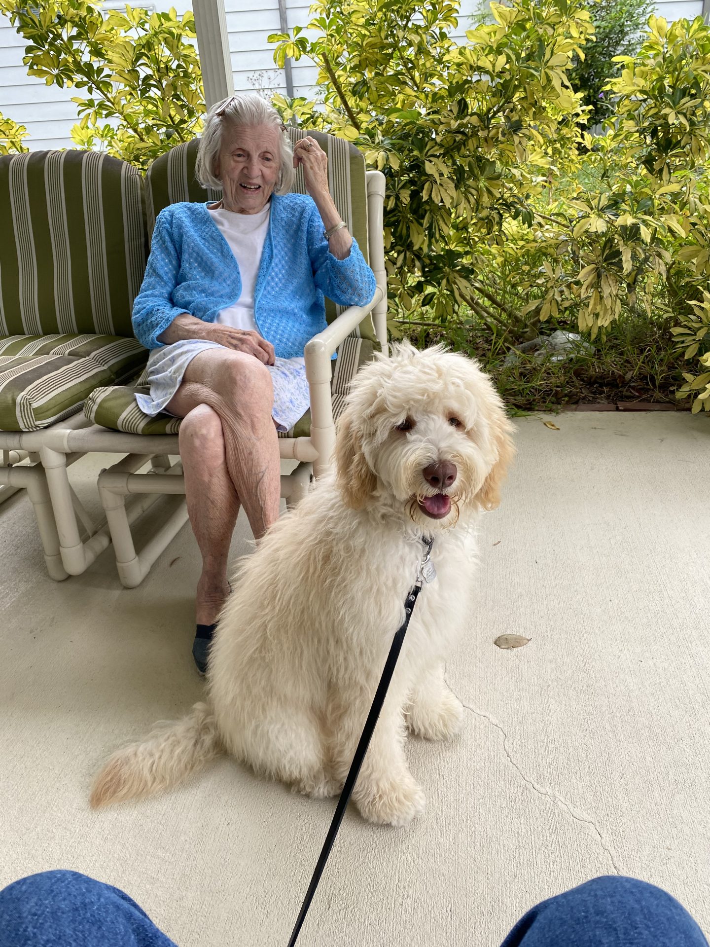 Buddy Therapy