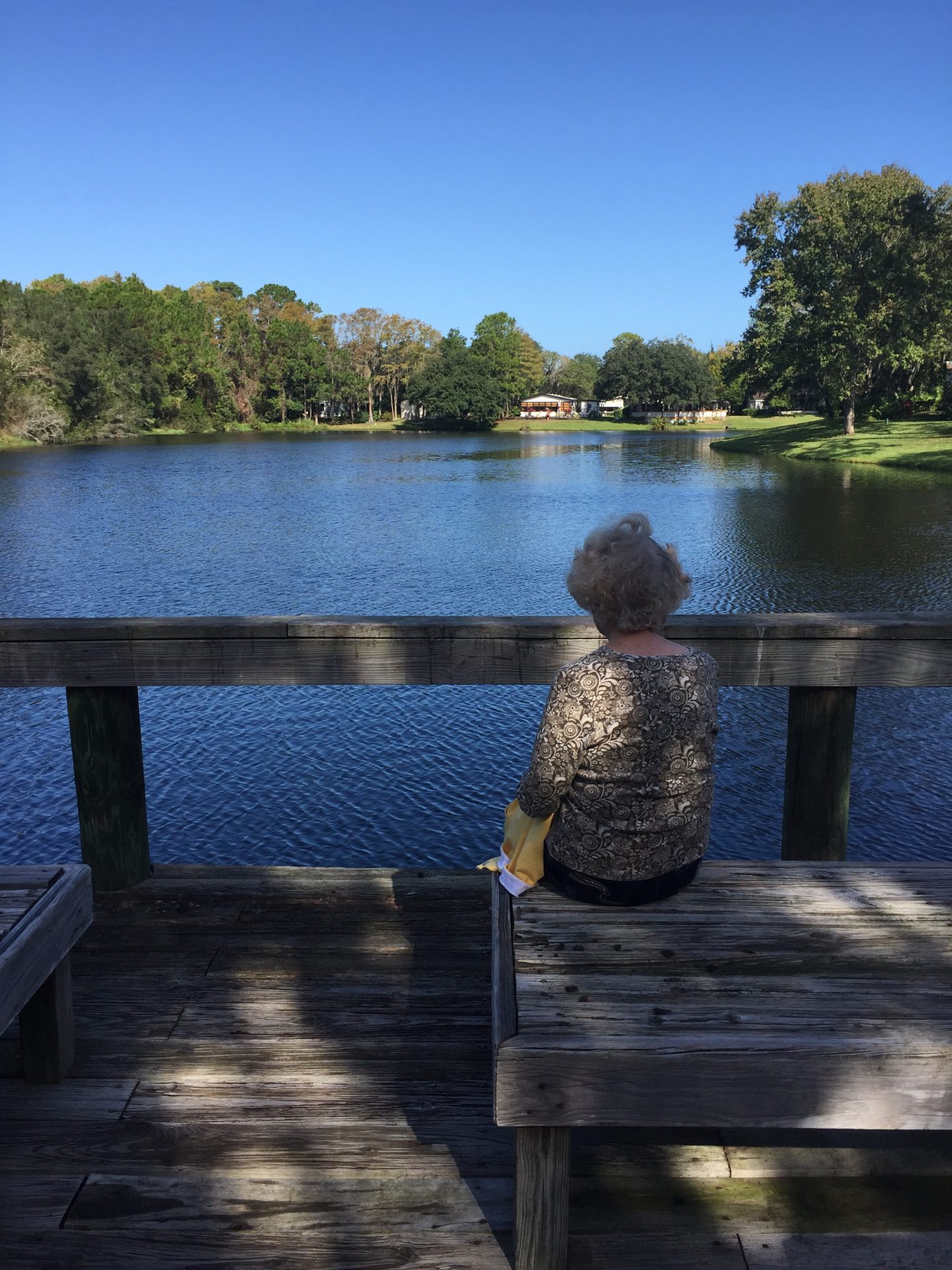 Not Tygart Lake<br />
Pond at The Falls