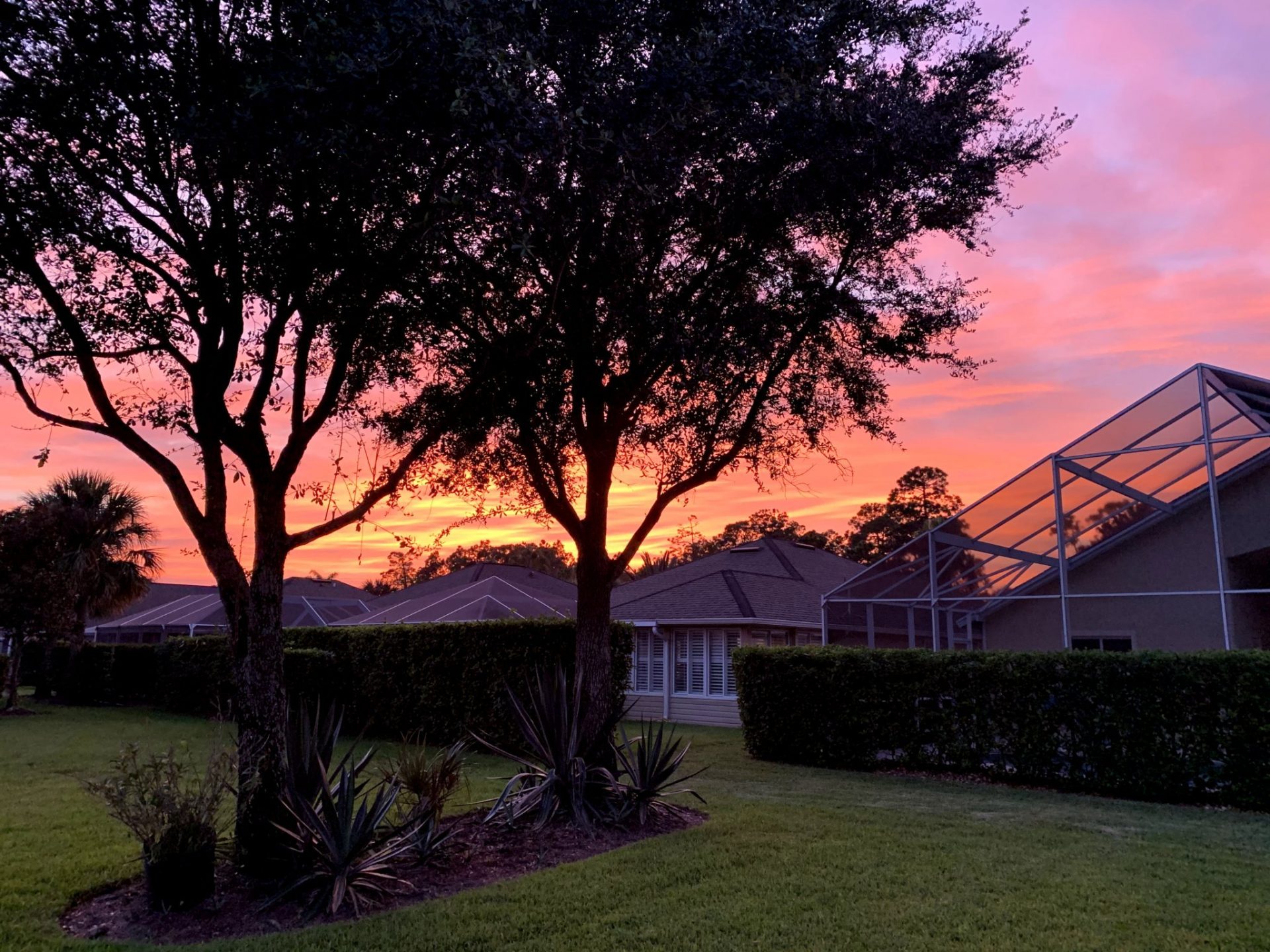 Florida sunset from back of our home