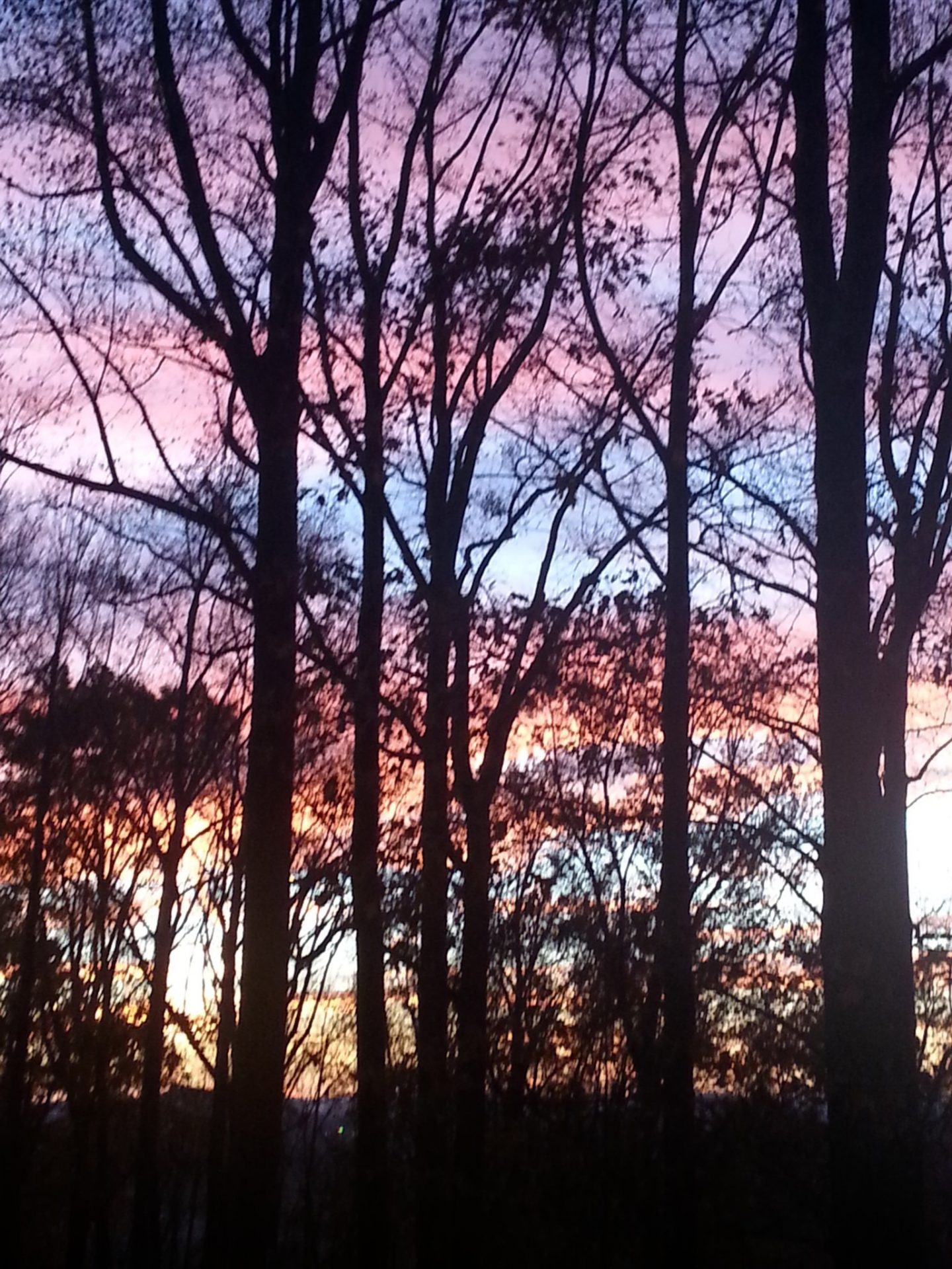 scenic view from our home in NJ, sunset memories 