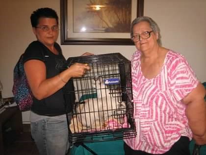 Nikke & Janice with Cat Adoption