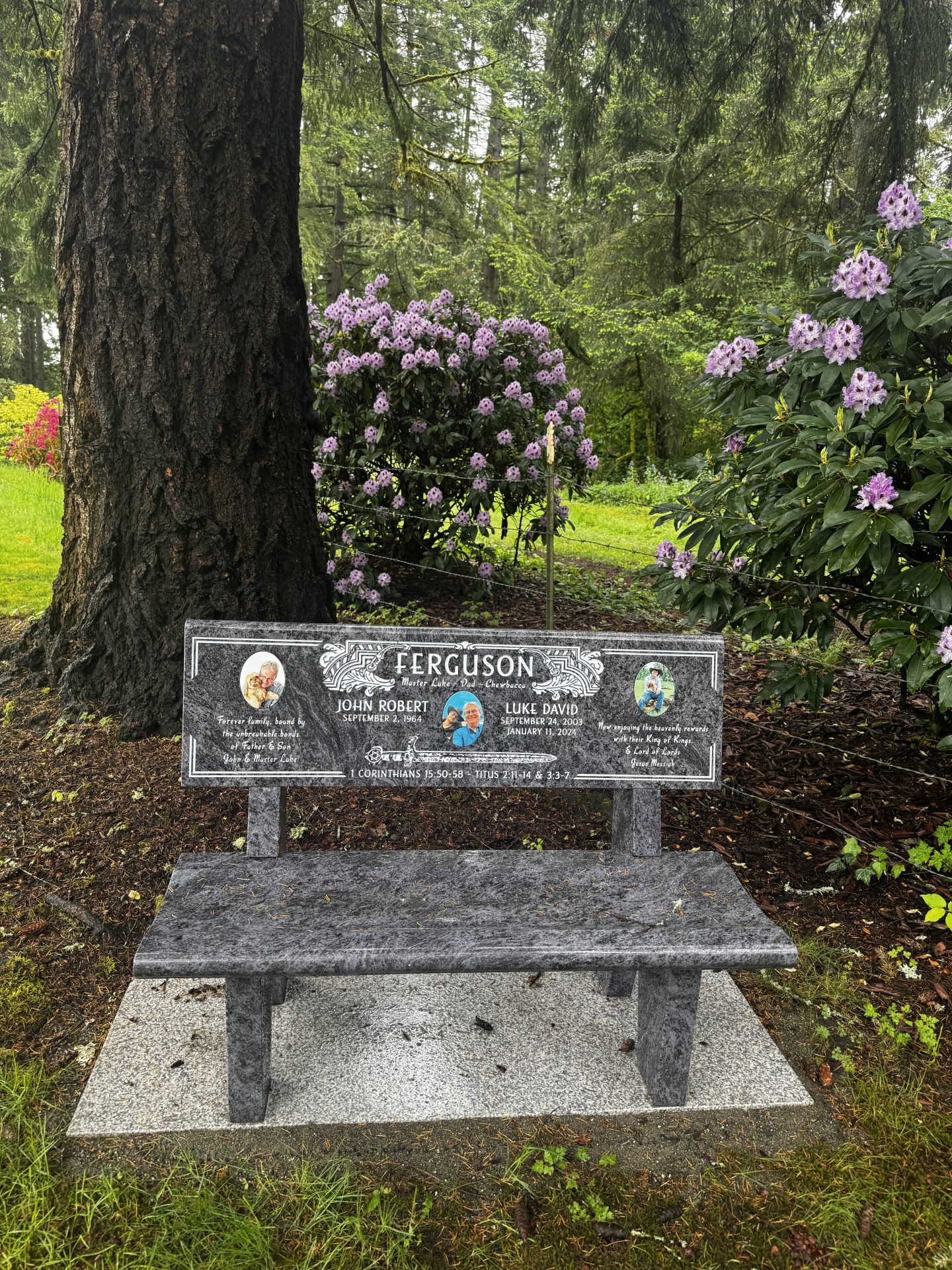 Ferguson Fir & Bench