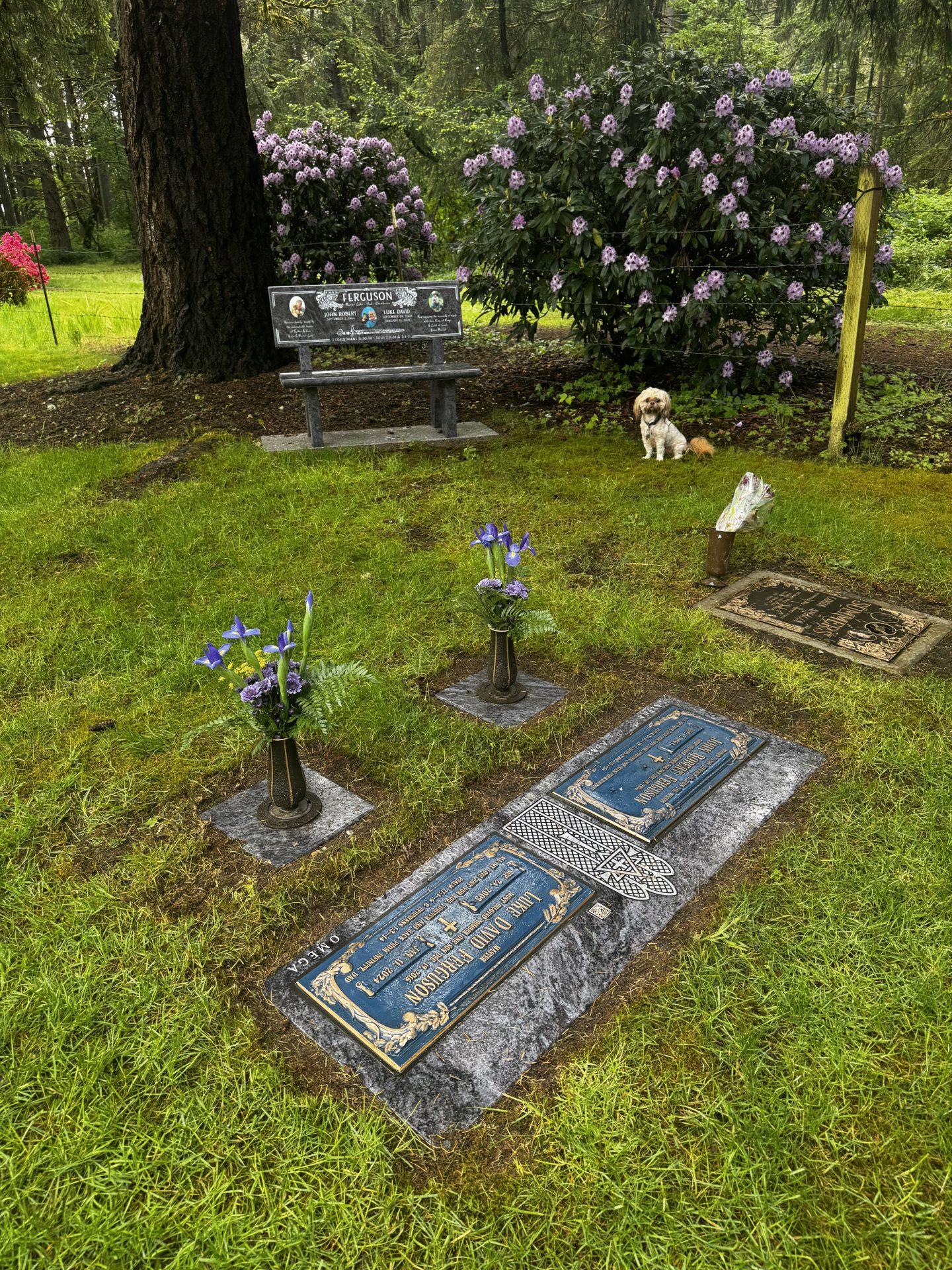 Bronze markers & Bench