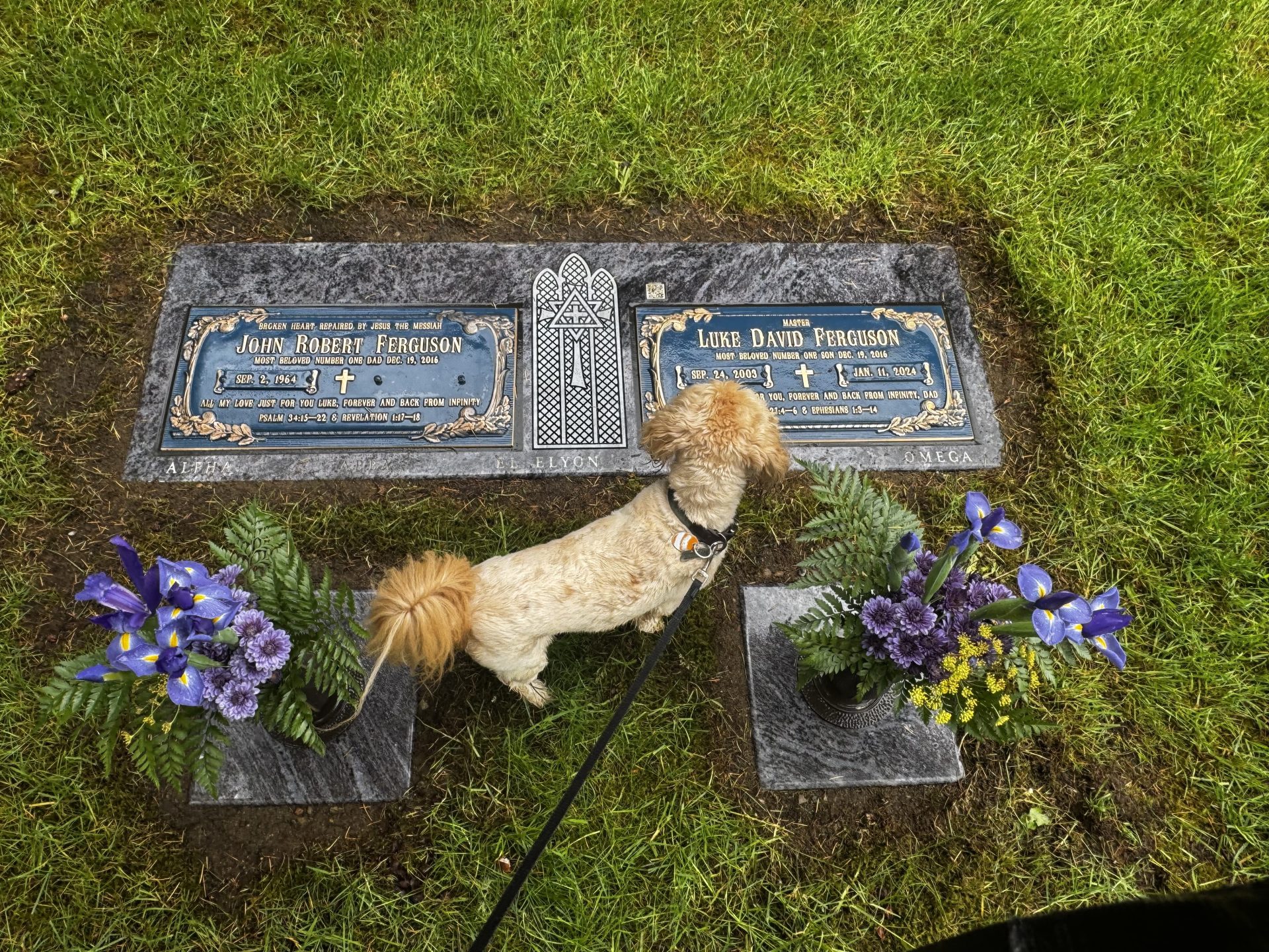 Bronze Markers with Chewbacca