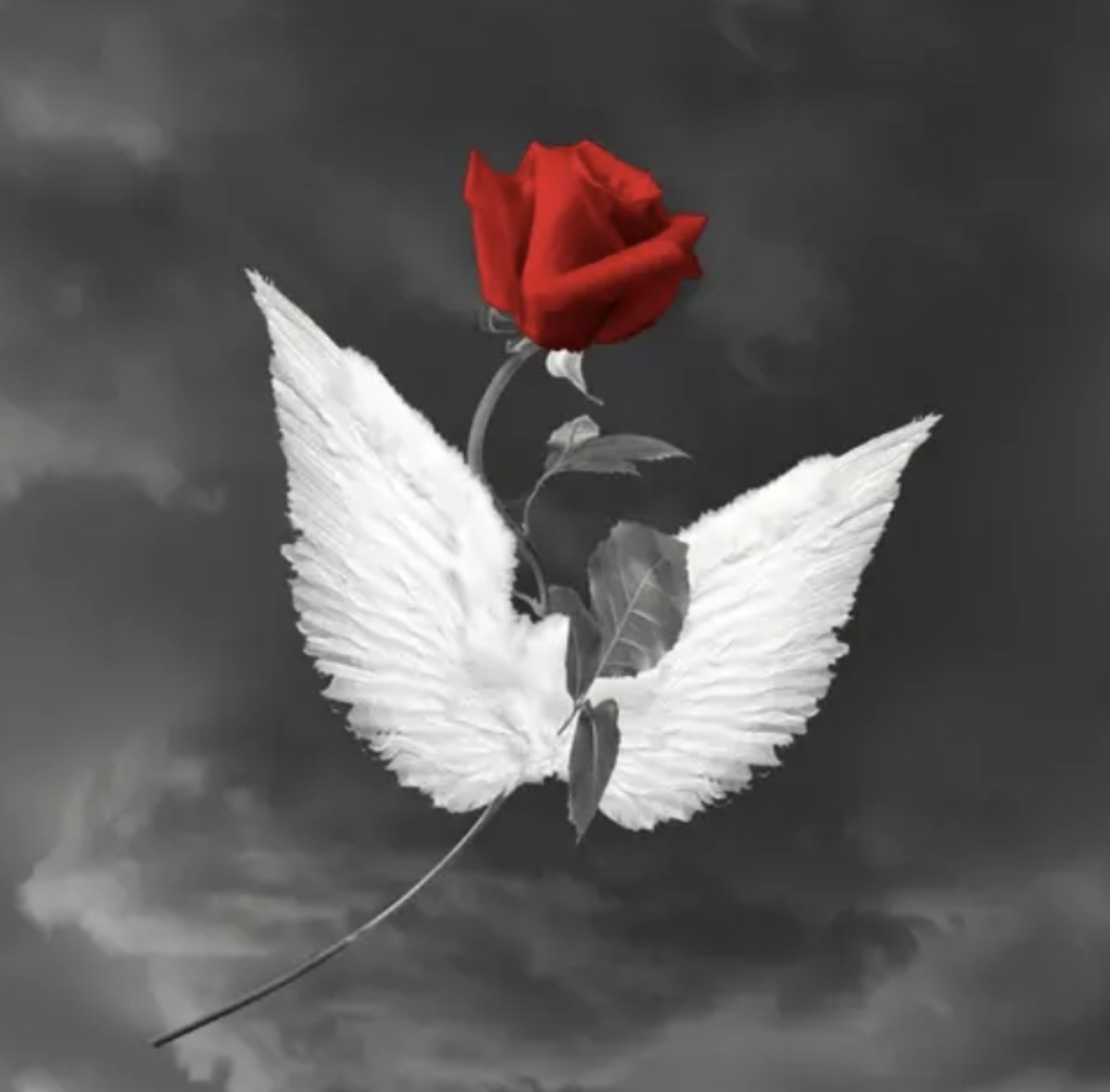 Rest well sweet angel